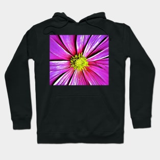 Magenta Aesthetic Floral Drawing Hoodie